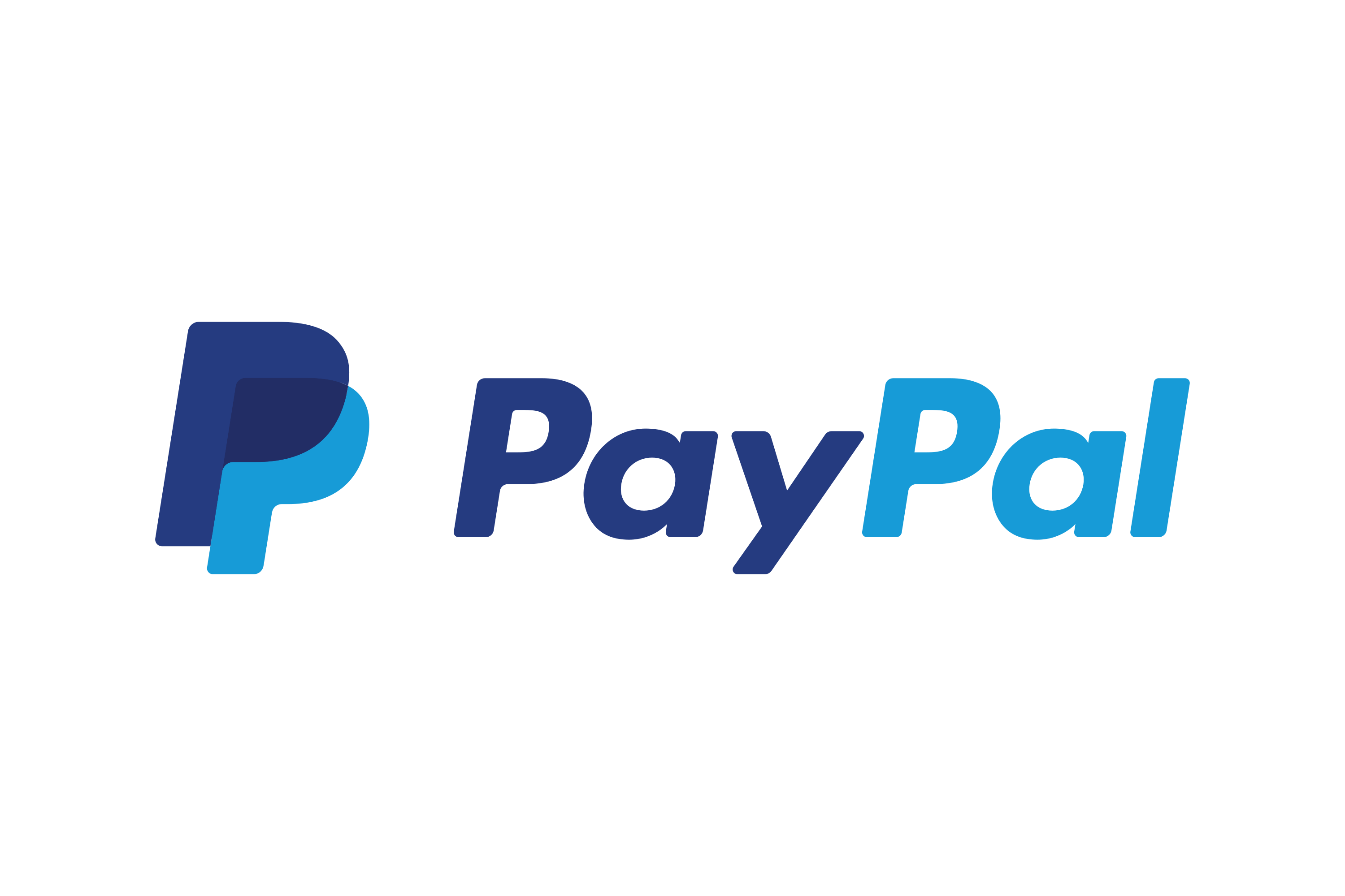 PayPal payment partner logo - Global payment solution